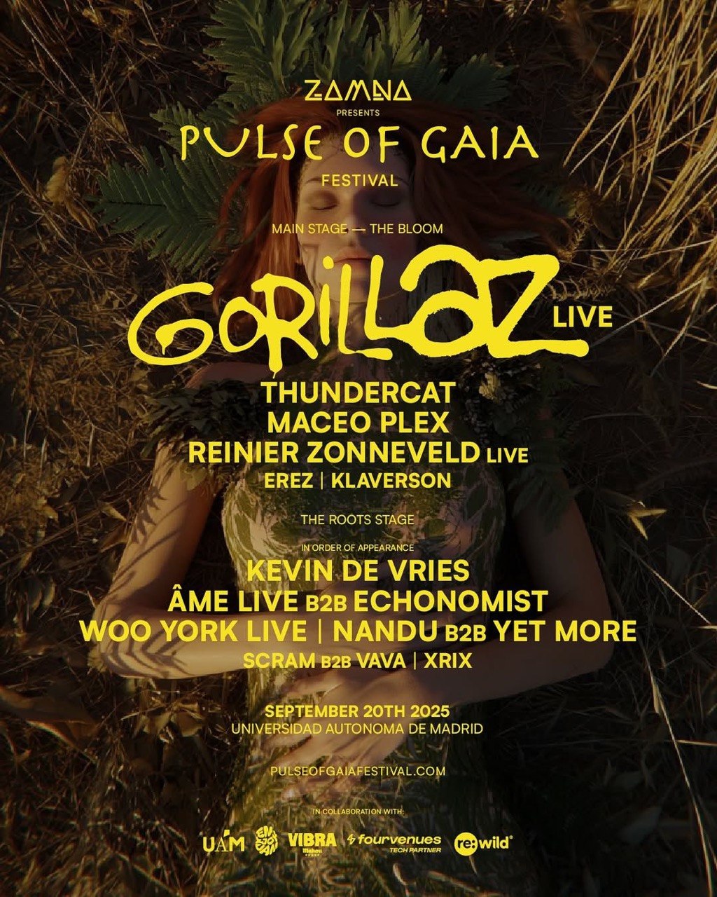 The line-up